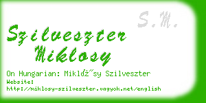 szilveszter miklosy business card